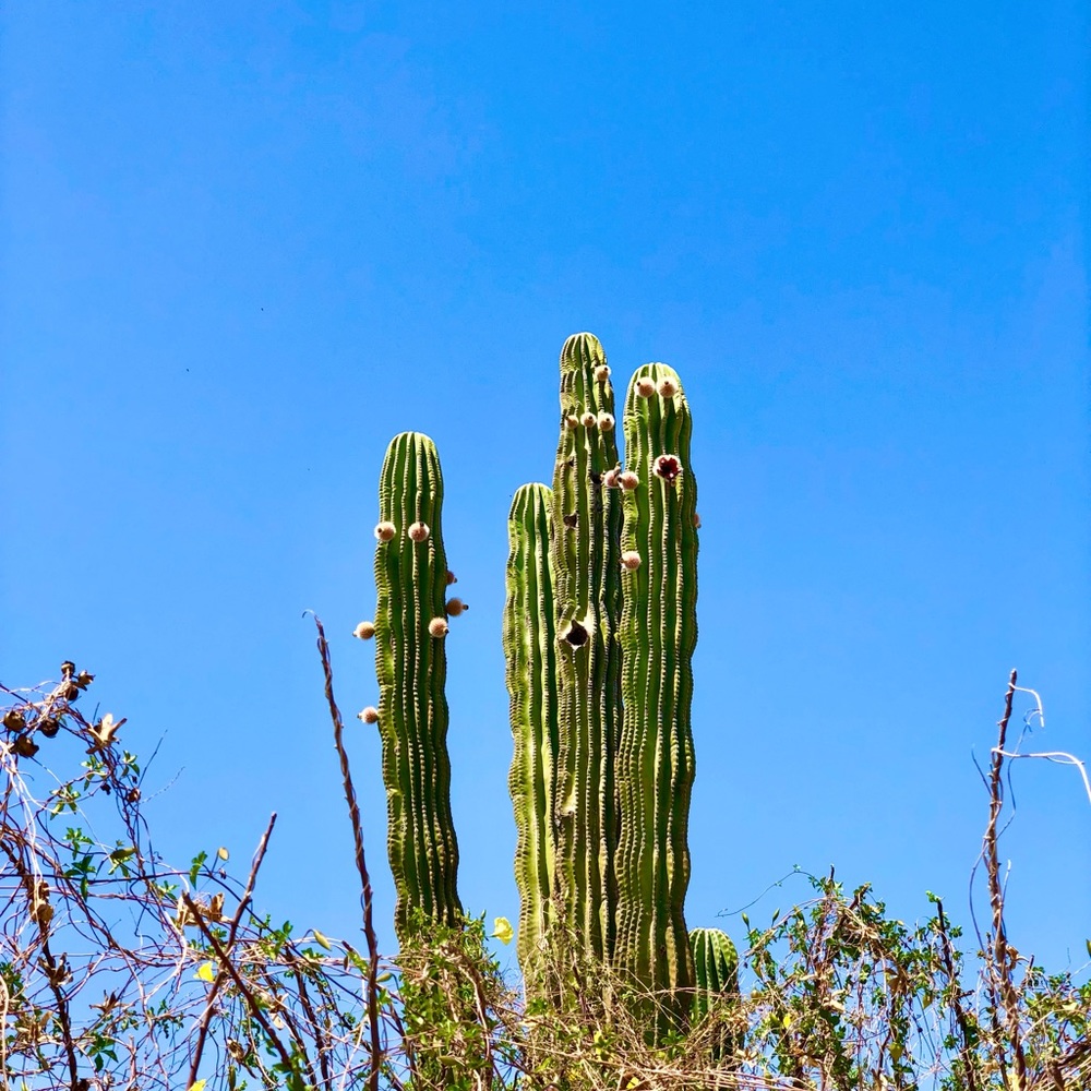 Meet your Posher, J. r.